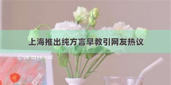 上海推出纯方言早教引网友热议