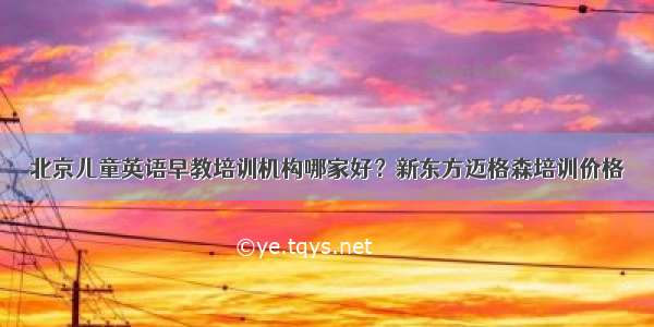 北京儿童英语早教培训机构哪家好？新东方迈格森培训价格