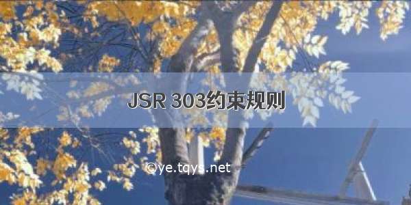 JSR 303约束规则