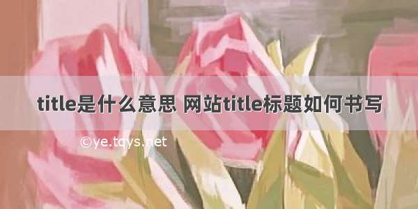 title是什么意思 网站title标题如何书写