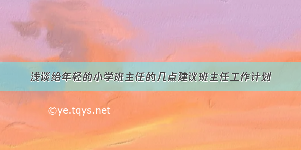 浅谈给年轻的小学班主任的几点建议班主任工作计划