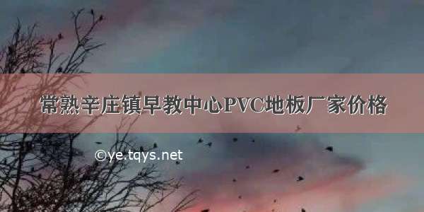 常熟辛庄镇早教中心PVC地板厂家价格