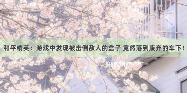 和平精英：游戏中发现被击倒敌人的盒子 竟然落到废弃的车下！