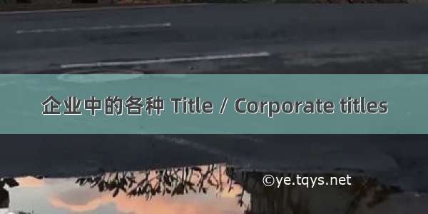 企业中的各种 Title / Corporate titles