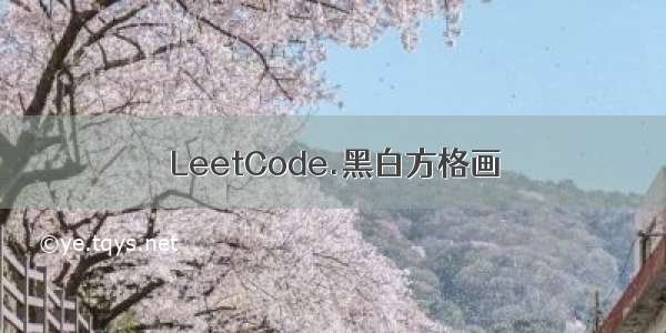 LeetCode.黑白方格画