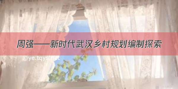 周强——新时代武汉乡村规划编制探索