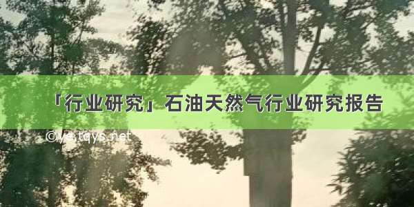 「行业研究」石油天然气行业研究报告