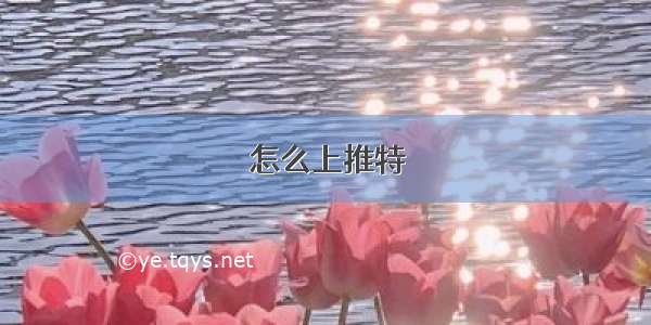 怎么上推特