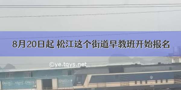 8月20日起 松江这个街道早教班开始报名