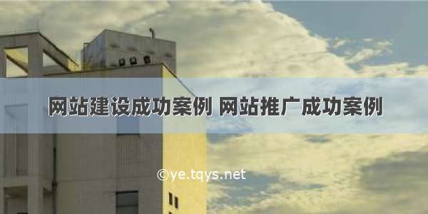 网站建设成功案例 网站推广成功案例