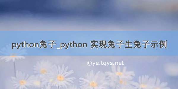 python兔子_python 实现兔子生兔子示例