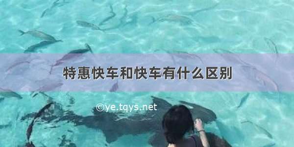 特惠快车和快车有什么区别