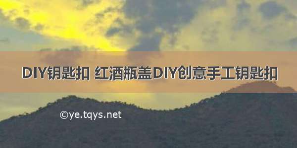 DIY钥匙扣 红酒瓶盖DIY创意手工钥匙扣