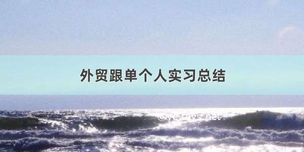 外贸跟单个人实习总结