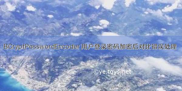 BCryptPasswordEncoder 用户登录密码加密后对比错误处理