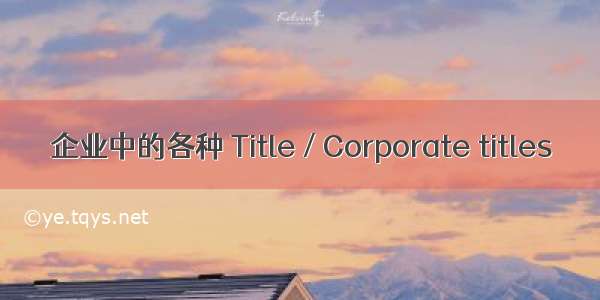 企业中的各种 Title / Corporate titles