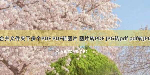 合并文件夹下多个PDF PDF转图片 图片转PDF JPG转pdf pdf转JPG