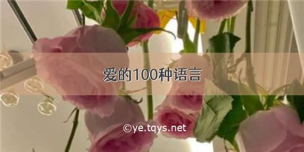 爱的100种语言