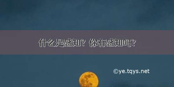 什么是感知？你有感知吗？