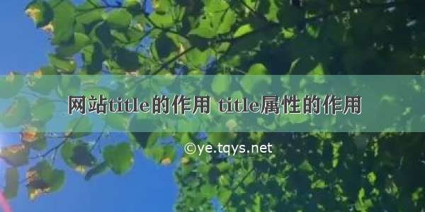 网站title的作用 title属性的作用