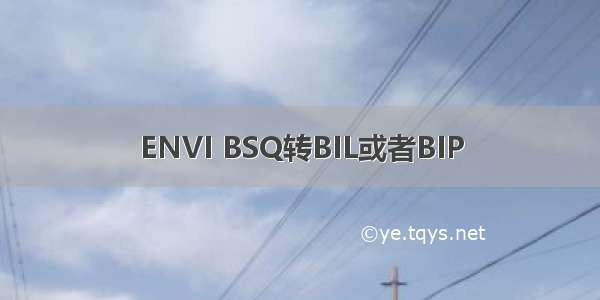 ENVI BSQ转BIL或者BIP