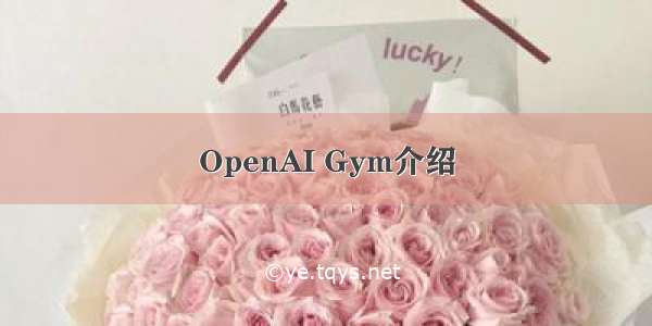 OpenAI Gym介绍