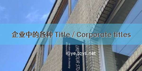 企业中的各种 Title / Corporate titles