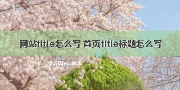 网站title怎么写 首页title标题怎么写