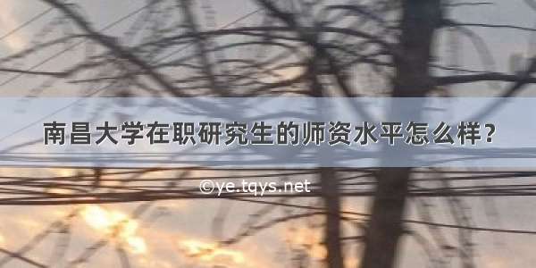 南昌大学在职研究生的师资水平怎么样？