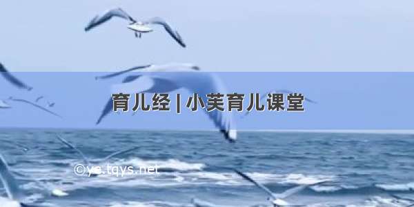 育儿经 | 小芙育儿课堂