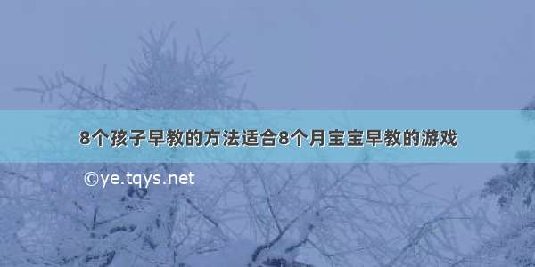 8个孩子早教的方法适合8个月宝宝早教的游戏