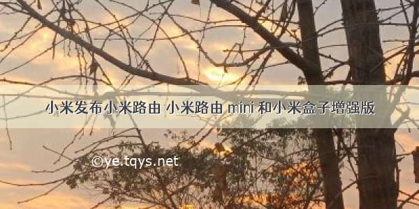 小米发布小米路由 小米路由 mini 和小米盒子增强版