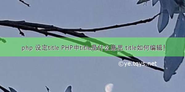 php 设定title PHP中title是什么意思 title如何编辑！