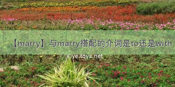 【marry】与marry搭配的介词是to还是with