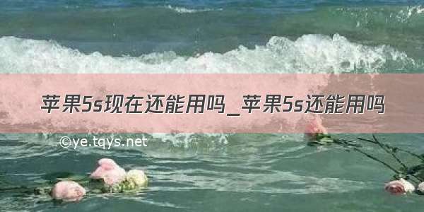 苹果5s现在还能用吗_苹果5s还能用吗