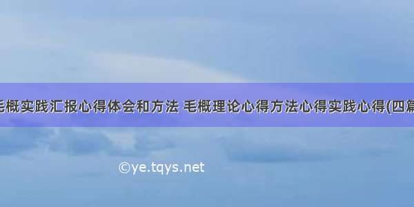 毛概实践汇报心得体会和方法 毛概理论心得方法心得实践心得(四篇)