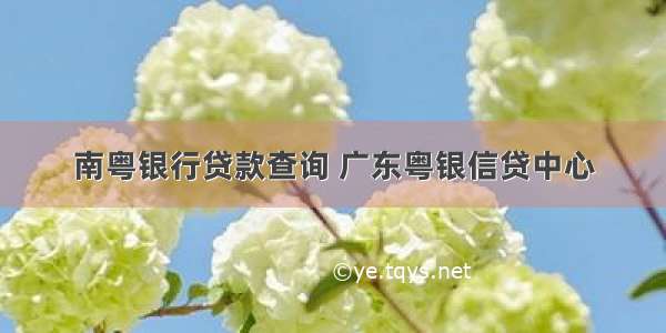 南粤银行贷款查询 广东粤银信贷中心