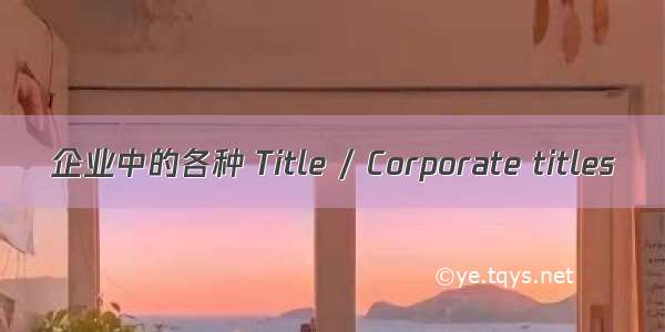 企业中的各种 Title / Corporate titles