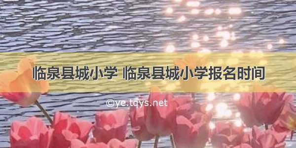 临泉县城小学 临泉县城小学报名时间