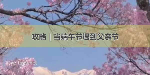 攻略｜当端午节遇到父亲节