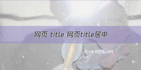 网页 title 网页title居中