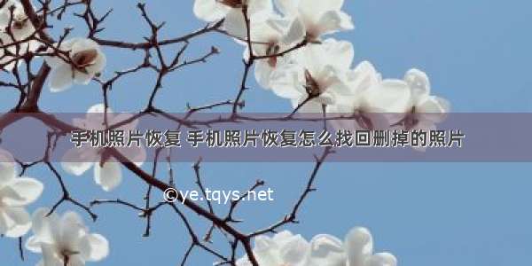 手机照片恢复 手机照片恢复怎么找回删掉的照片