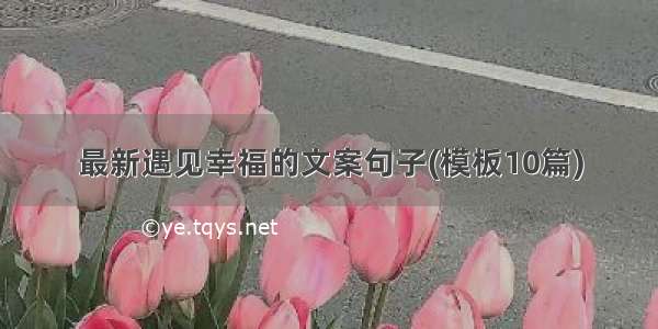 最新遇见幸福的文案句子(模板10篇)