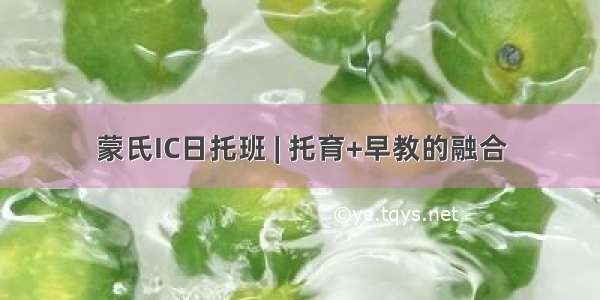 蒙氏IC日托班 | 托育+早教的融合