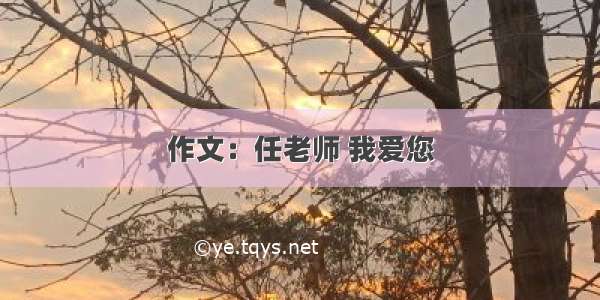 作文：任老师 我爱您