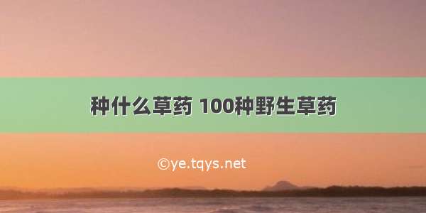 种什么草药 100种野生草药