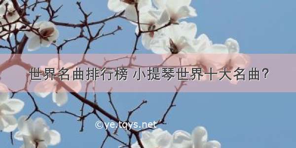 世界名曲排行榜 小提琴世界十大名曲？