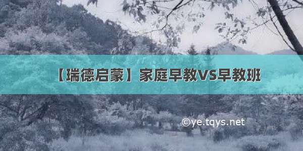 【瑞德启蒙】家庭早教VS早教班