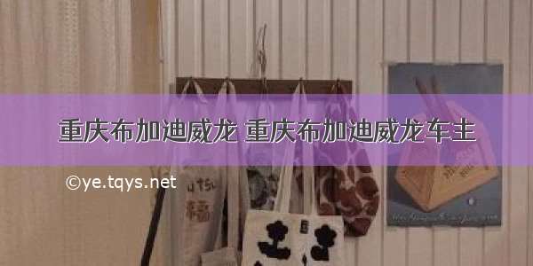 重庆布加迪威龙 重庆布加迪威龙车主