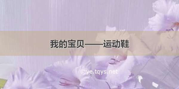 我的宝贝——运动鞋